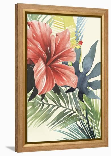 Tropical Punch II-Grace Popp-Framed Stretched Canvas