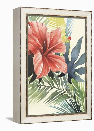 Tropical Punch II-Grace Popp-Framed Stretched Canvas