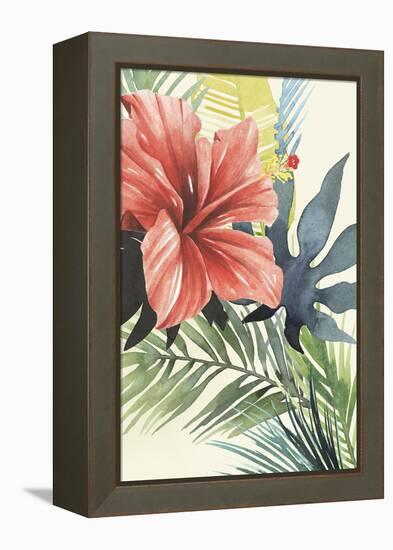 Tropical Punch II-Grace Popp-Framed Stretched Canvas