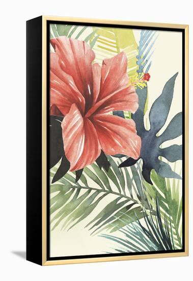 Tropical Punch II-Grace Popp-Framed Stretched Canvas