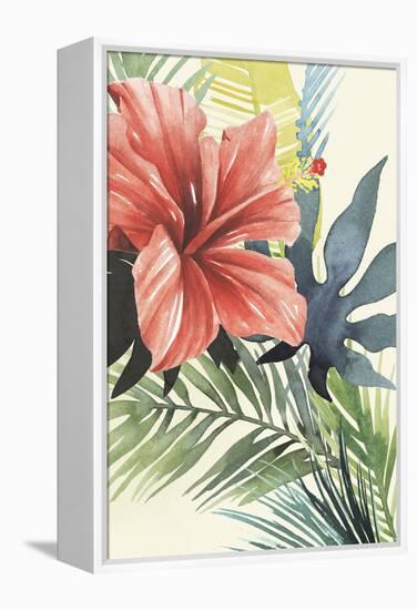 Tropical Punch II-Grace Popp-Framed Stretched Canvas