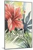 Tropical Punch II-Grace Popp-Mounted Premium Giclee Print