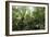 Tropical Rainforest, Borneo-Robbie Shone-Framed Photographic Print