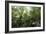 Tropical Rainforest, Borneo-Robbie Shone-Framed Photographic Print