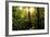 Tropical Rainforest in Panama-null-Framed Photographic Print