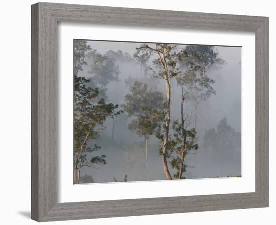 Tropical Rainforest on the Border of Burma and Thailand-Gavriel Jecan-Framed Photographic Print