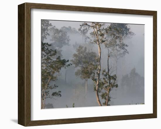 Tropical Rainforest on the Border of Burma and Thailand-Gavriel Jecan-Framed Photographic Print