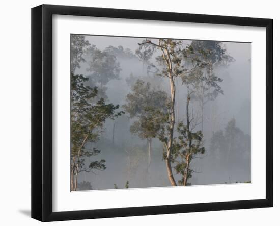 Tropical Rainforest on the Border of Burma and Thailand-Gavriel Jecan-Framed Photographic Print