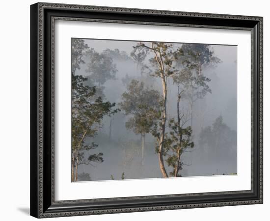 Tropical Rainforest on the Border of Burma and Thailand-Gavriel Jecan-Framed Photographic Print