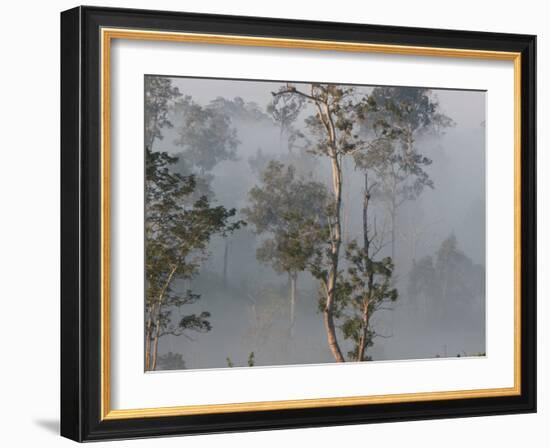 Tropical Rainforest on the Border of Burma and Thailand-Gavriel Jecan-Framed Photographic Print