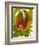 Tropical Red Ginger-Tim O'toole-Framed Premium Giclee Print