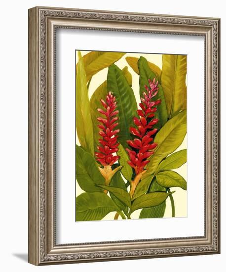 Tropical Red Ginger-Tim O'toole-Framed Premium Giclee Print