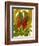 Tropical Red Ginger-Tim O'toole-Framed Premium Giclee Print