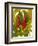Tropical Red Ginger-Tim O'toole-Framed Premium Giclee Print