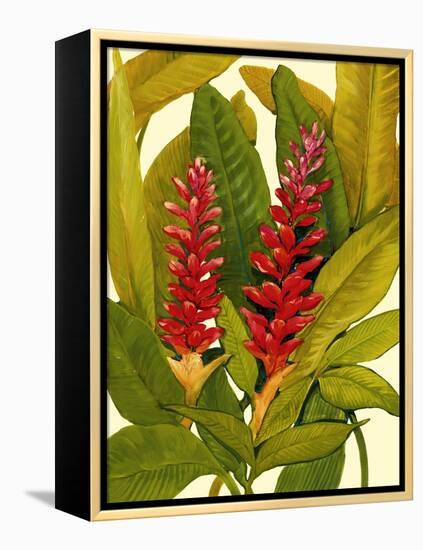 Tropical Red Ginger-Tim O'toole-Framed Stretched Canvas