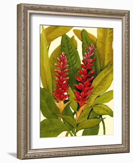 Tropical Red Ginger-Tim O'toole-Framed Art Print