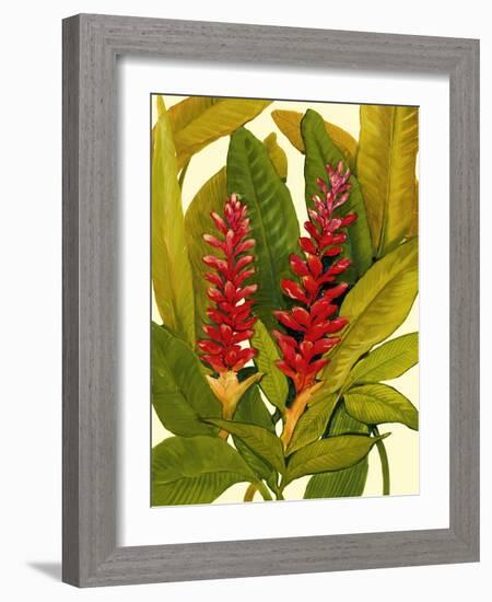 Tropical Red Ginger-Tim O'toole-Framed Art Print