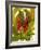 Tropical Red Ginger-Tim O'toole-Framed Art Print