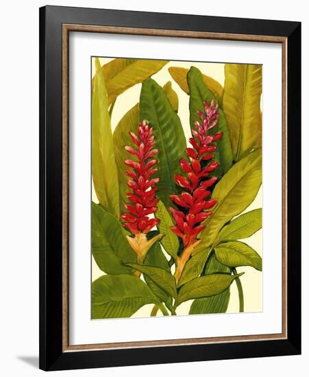 Tropical Red Ginger-Tim O'toole-Framed Art Print