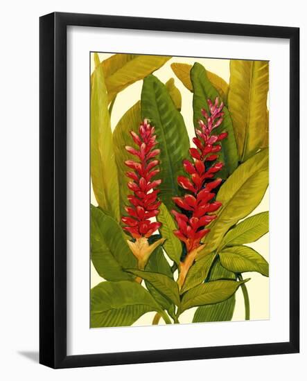 Tropical Red Ginger-Tim O'toole-Framed Art Print