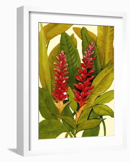 Tropical Red Ginger-Tim O'toole-Framed Art Print