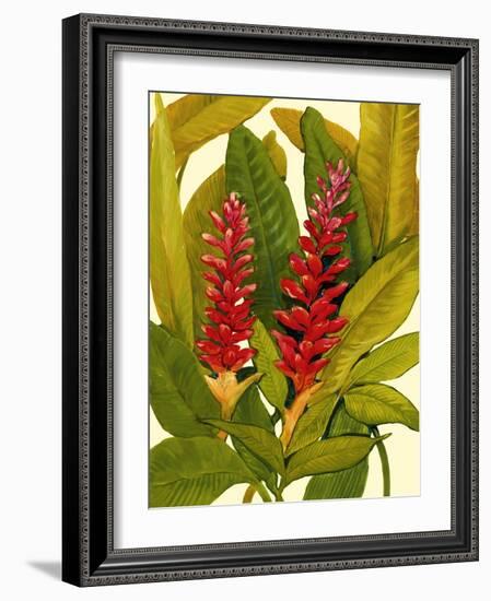 Tropical Red Ginger-Tim O'toole-Framed Art Print