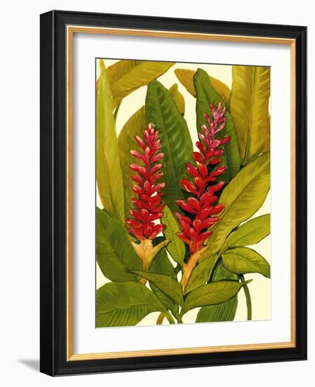 Tropical Red Ginger-Tim O'toole-Framed Art Print