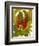 Tropical Red Ginger-Tim O'toole-Framed Art Print