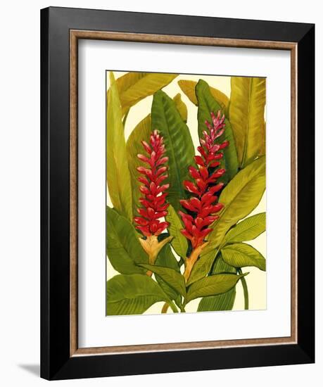 Tropical Red Ginger-Tim O'toole-Framed Art Print