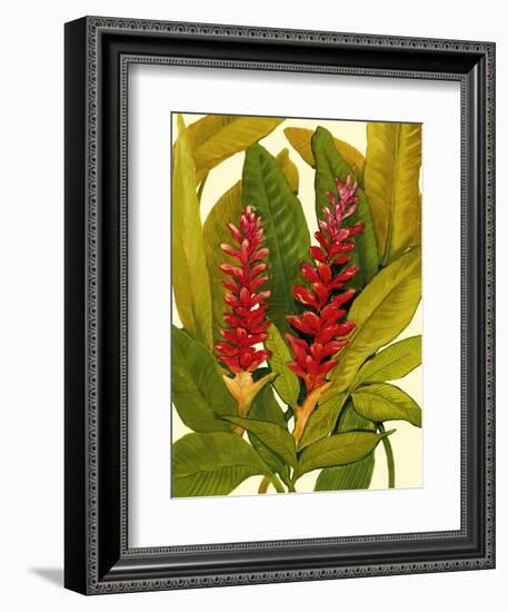 Tropical Red Ginger-Tim O'toole-Framed Art Print