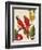 Tropical Red Pair-Colleen Sarah-Framed Art Print