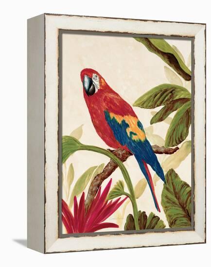 Tropical Red-Colleen Sarah-Framed Stretched Canvas