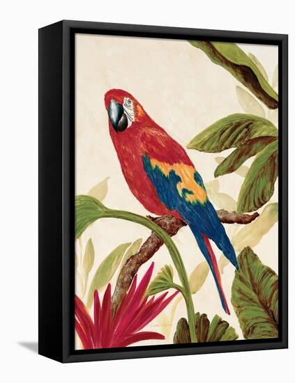 Tropical Red-Colleen Sarah-Framed Stretched Canvas