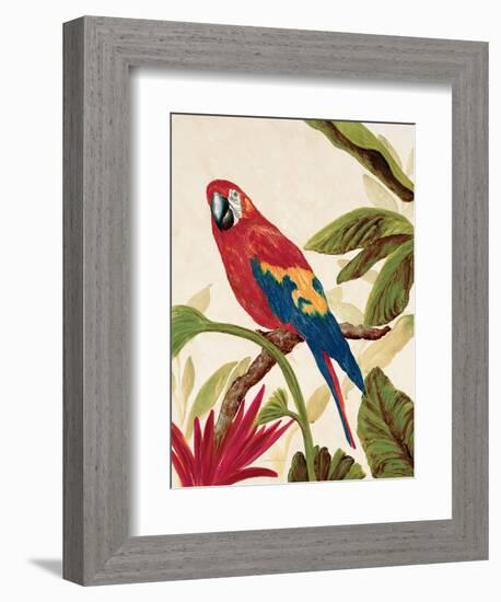 Tropical Red-Colleen Sarah-Framed Art Print