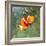 Tropical Reef Fish - Clownfish (Amphiprion Ocellaris) Macro With Shallow Dof-Kletr-Framed Photographic Print