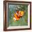 Tropical Reef Fish - Clownfish (Amphiprion Ocellaris) Macro With Shallow Dof-Kletr-Framed Photographic Print