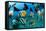 Tropical Reef Fish-Matthew Oldfield-Framed Premier Image Canvas