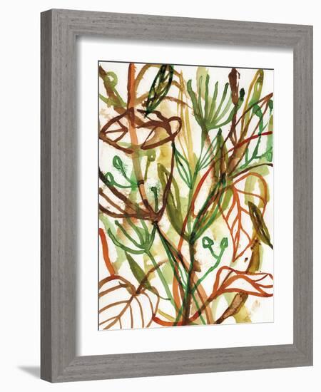 Tropical Scramble-Paula Mills-Framed Giclee Print