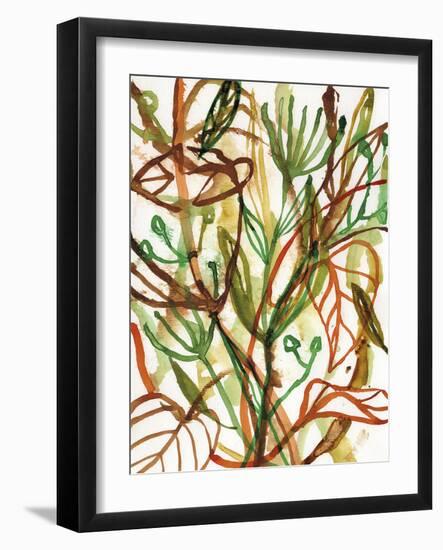 Tropical Scramble-Paula Mills-Framed Giclee Print