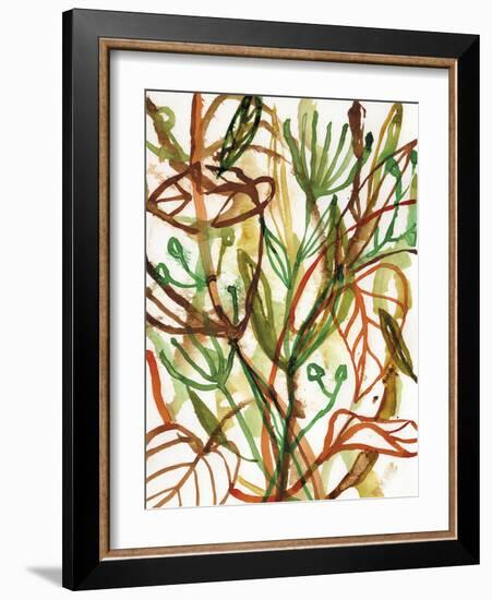 Tropical Scramble-Paula Mills-Framed Giclee Print