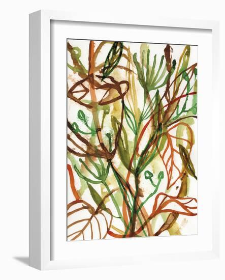 Tropical Scramble-Paula Mills-Framed Giclee Print