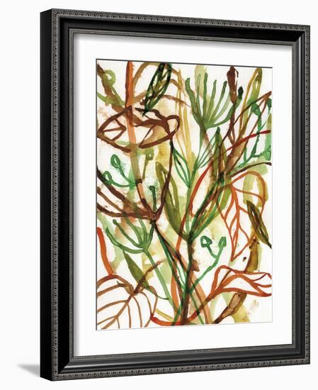 Tropical Scramble-Paula Mills-Framed Giclee Print