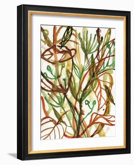 Tropical Scramble-Paula Mills-Framed Giclee Print