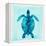 Tropical Sea Turtle-Evangeline Taylor-Framed Stretched Canvas