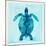 Tropical Sea Turtle-Evangeline Taylor-Mounted Art Print