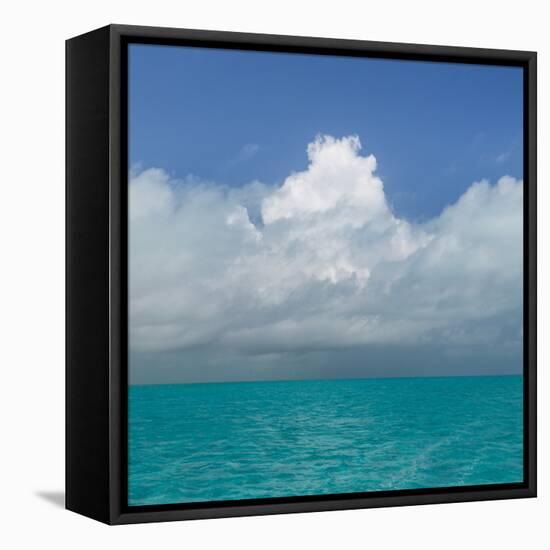 Tropical Seascape II-Kathy Mahan-Framed Premier Image Canvas