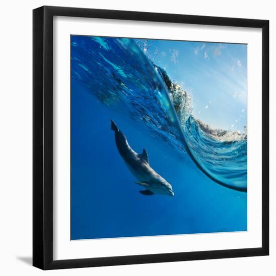 Tropical Seascape with Water Waved Surface and Dolphin Swimming Underwater-Willyam Bradberry-Framed Photographic Print