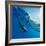 Tropical Seascape with Water Waved Surface and Dolphin Swimming Underwater-Willyam Bradberry-Framed Photographic Print