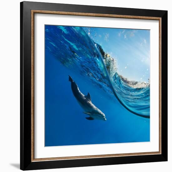 Tropical Seascape with Water Waved Surface and Dolphin Swimming Underwater-Willyam Bradberry-Framed Photographic Print