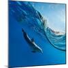 Tropical Seascape with Water Waved Surface and Dolphin Swimming Underwater-Willyam Bradberry-Mounted Photographic Print